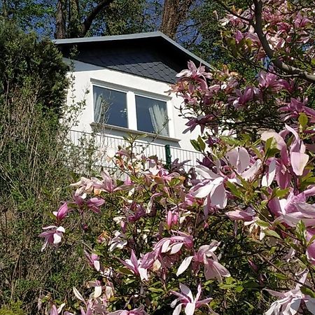 Das Ferienhaus Mit Aussicht Pirna Eksteriør bilde