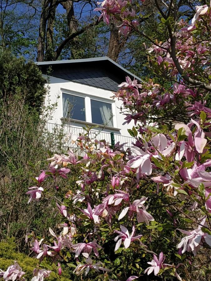 Das Ferienhaus Mit Aussicht Pirna Eksteriør bilde