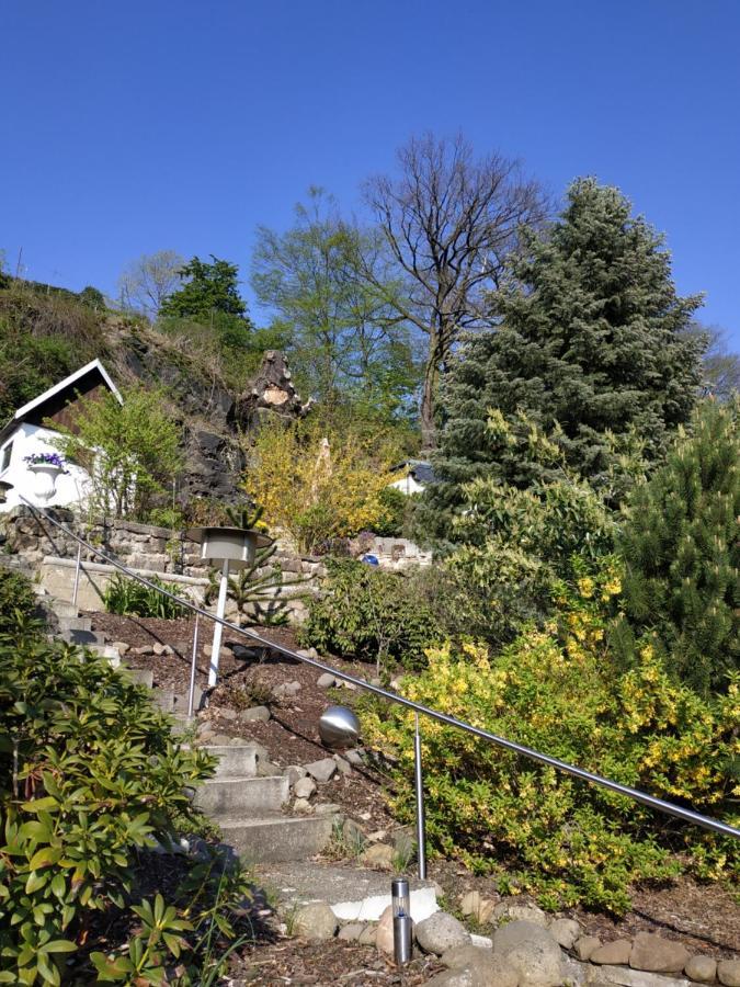 Das Ferienhaus Mit Aussicht Pirna Eksteriør bilde
