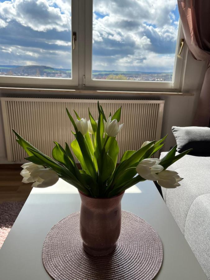 Das Ferienhaus Mit Aussicht Pirna Eksteriør bilde